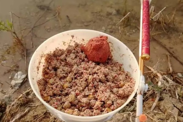 大水面野钓鲤鱼用什么打窝,可以选择五谷杂粮、酒糟等