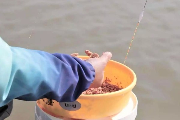 大水面野钓鲤鱼用什么打窝,可以选择五谷杂粮、酒糟等