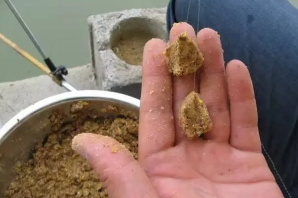 大水面野钓鲤鱼用什么打窝,可以选择五谷杂粮、酒糟等