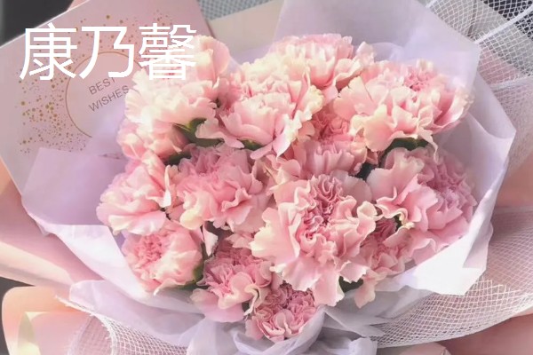 看病人适合送什么花，推荐康乃馨、百合花等