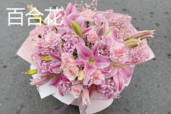 看病人适合送什么花，推荐康乃馨、百合花等