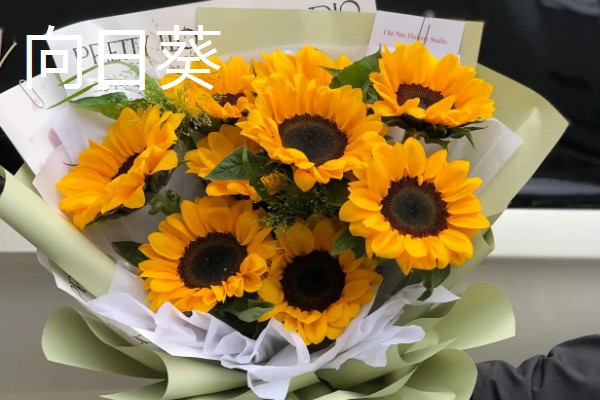 看病人适合送什么花，推荐康乃馨、百合花等