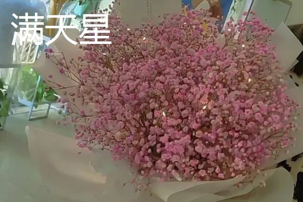 看病人适合送什么花，推荐康乃馨、百合花等