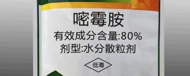 嘧霉胺可以防治哪些病害，可有效防治黄瓜、番茄灰霉病等