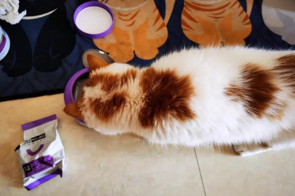 卵磷脂对猫有什么作用，能起到提亮毛色、舒缓皮肤干燥等效果