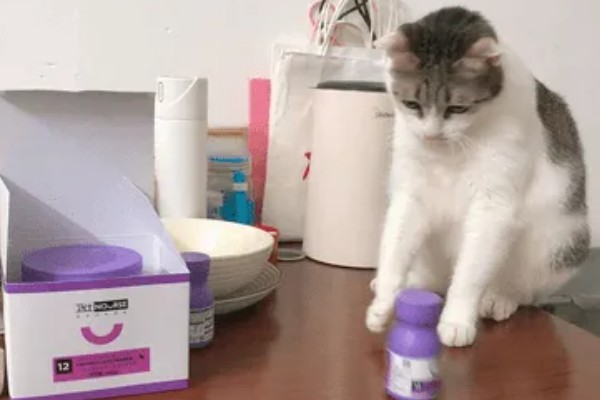 卵磷脂对猫有什么作用，能起到提亮毛色、舒缓皮肤干燥等效果