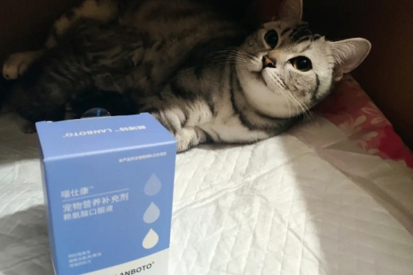 卵磷脂对猫有什么作用，能起到提亮毛色、舒缓皮肤干燥等效果