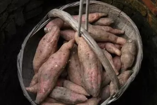 红薯可以带皮吃吗，可以带皮吃但要注意以下事项