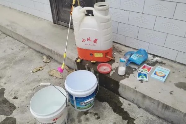 阿维菌素的复配方法，防治菜青虫和小菜蛾可搭配甲维盐