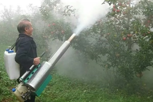对果树使用叶面肥要注意什么，前期使用氮肥可促进新梢生长