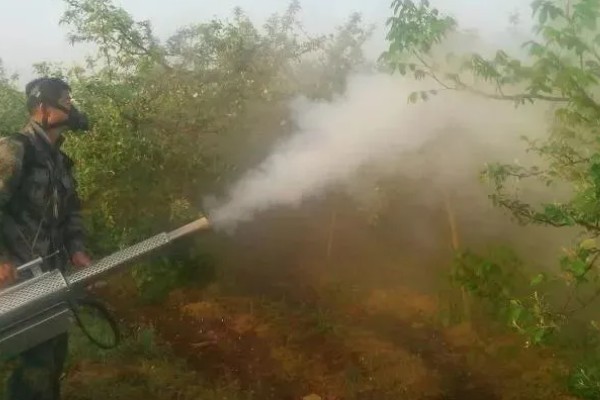 对果树使用叶面肥要注意什么，前期使用氮肥可促进新梢生长