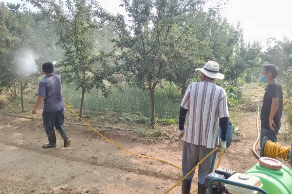 对果树使用叶面肥要注意什么，前期使用氮肥可促进新梢生长