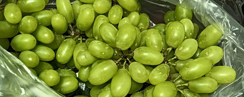 怎么提子防止氧化，可放在封闭的容器中贮存