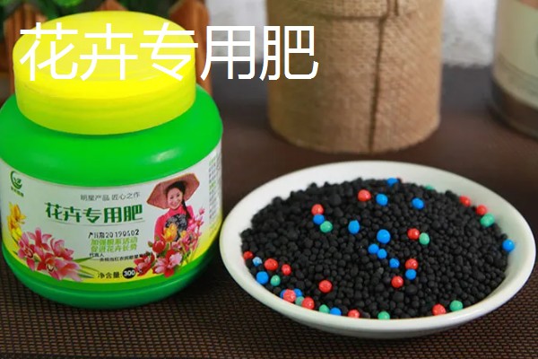 夜来香用哪种肥料,可以用氮磷钾复合肥、花卉专用肥等