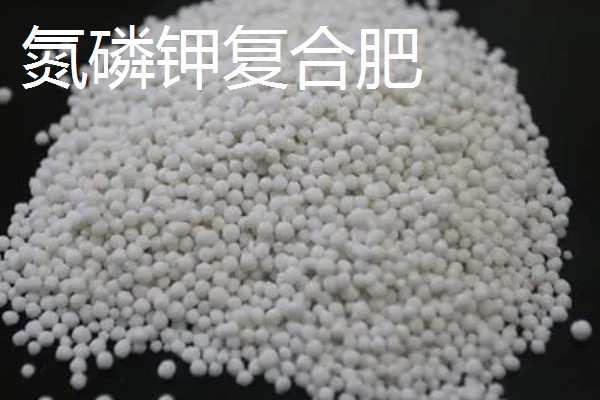 夜来香用哪种肥料,可以用氮磷钾复合肥、花卉专用肥等