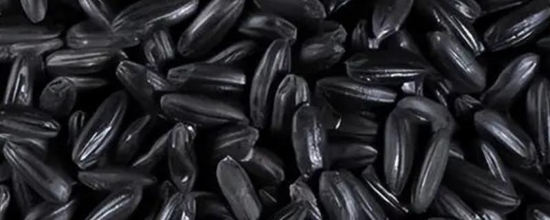 黑米的产地，主产地有陕西、贵州等地