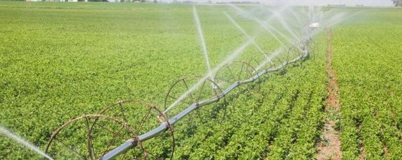 植物生长调节剂有哪些，包括生长促进剂、生长抑制剂等