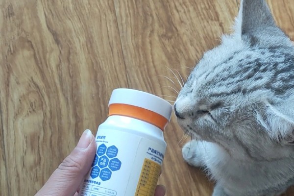犬猫对维生素A的需求,维生素A充足可起到保护犬猫视力