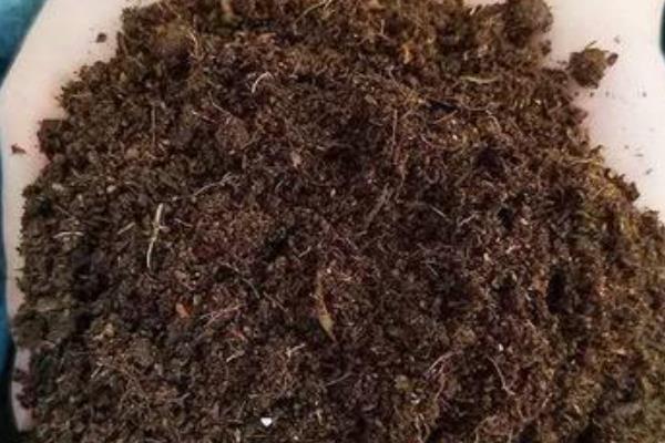 富贵菊的寓意，寓意阖家欢乐、繁荣昌盛等