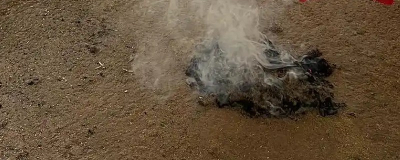 猪舍中药烟熏消毒的方法，可使用艾叶粉、烟熏散点燃
