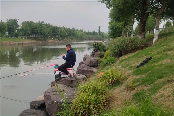 初夏降温好不好钓鱼，是比较好钓鱼的