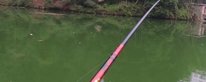 谷麦竿是什么，是指谷麦钓法用的鱼竿