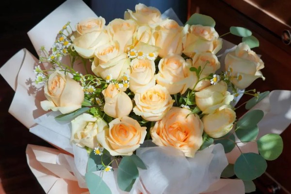 香槟玫瑰的花语,不同朵数代表的含义有区别