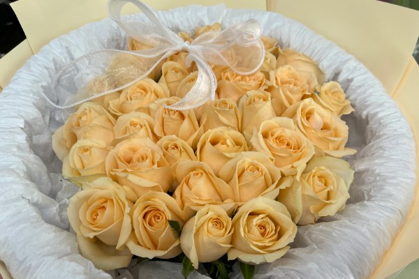 香槟玫瑰的花语,不同朵数代表的含义有区别