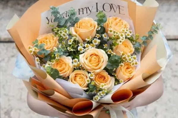 香槟玫瑰的花语,不同朵数代表的含义有区别