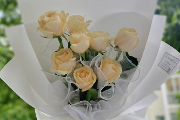 香槟玫瑰的花语,不同朵数代表的含义有区别