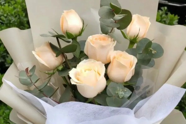 香槟玫瑰的花语,不同朵数代表的含义有区别