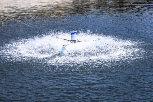 下雨后怎么处理鱼池,需开启增氧机补充氧气