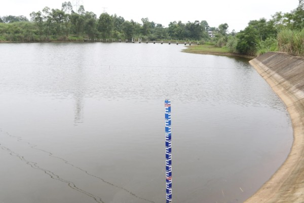 下雨后怎么处理鱼池,需开启增氧机补充氧气