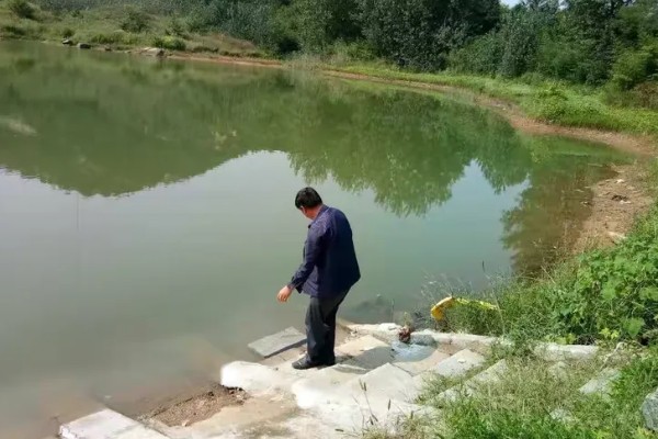 下雨后怎么处理鱼池,需开启增氧机补充氧气