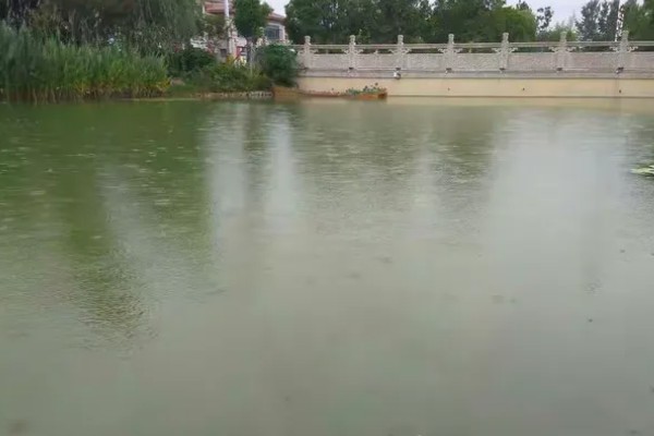 下雨后怎么处理鱼池,需开启增氧机补充氧气