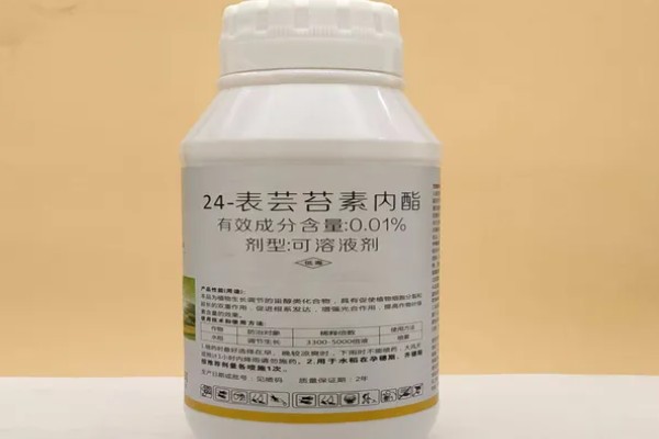 芸苔素通常多久喷一次，通常间隔7-12天使用1次