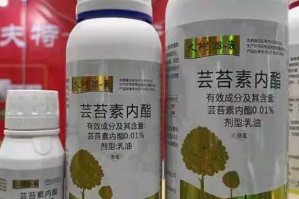 芸苔素通常多久喷一次，通常间隔7-12天使用1次