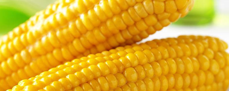 龙单328玉米种子特征特性，在适应区5月7日左右播种