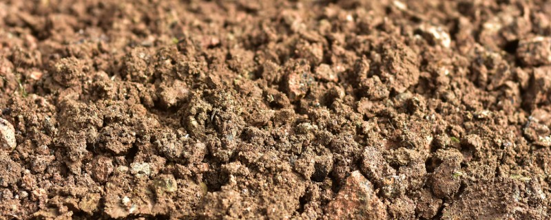 土壤酸化的原因,可能是长期大水漫灌导致的