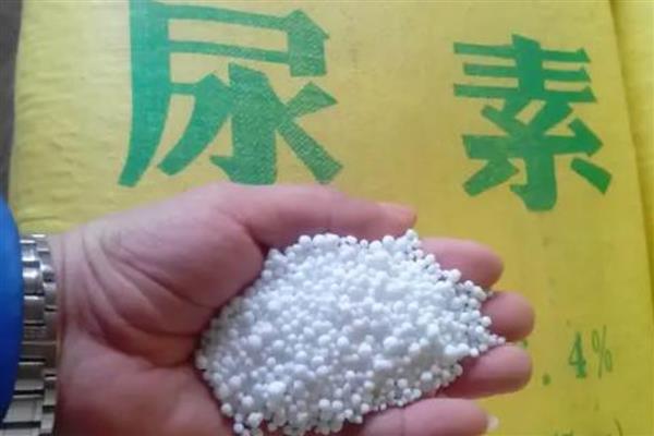 尿素是什么类型的肥料，属于氮肥的一种