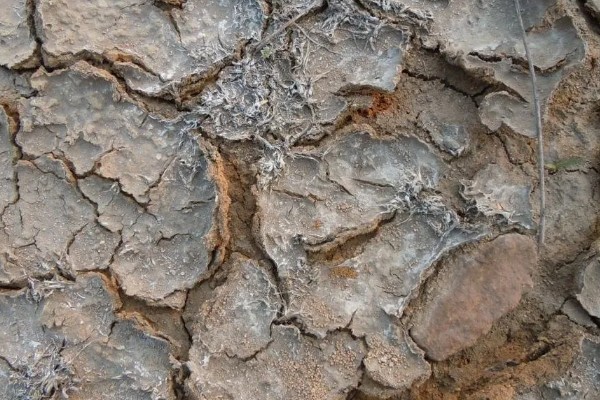 土壤毛管孔隙是什么，指的是具有毛管作用的孔隙