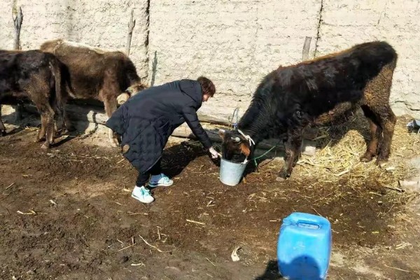 夏至对各种农事活动的影响，需及时对杂草进行防治