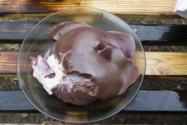 钓甲鱼的要点，常用手竿钓法、插竿钓法等