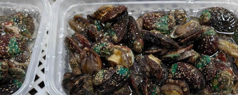 东山鲍鱼的产地在哪，是福建省东山县的特产