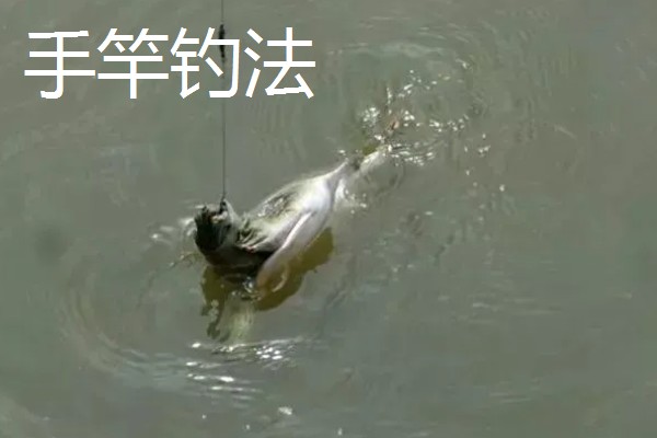 钓甲鱼的要点，常用手竿钓法、插竿钓法等