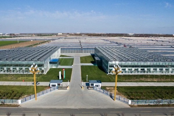 现代农业园区有什么发展类型，建设目标有开发区型、科技开发型、生产展示型