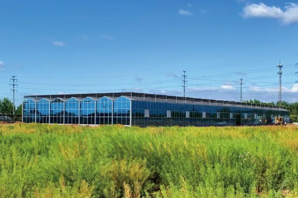 现代农业园区有什么发展类型，建设目标有开发区型、科技开发型、生产展示型