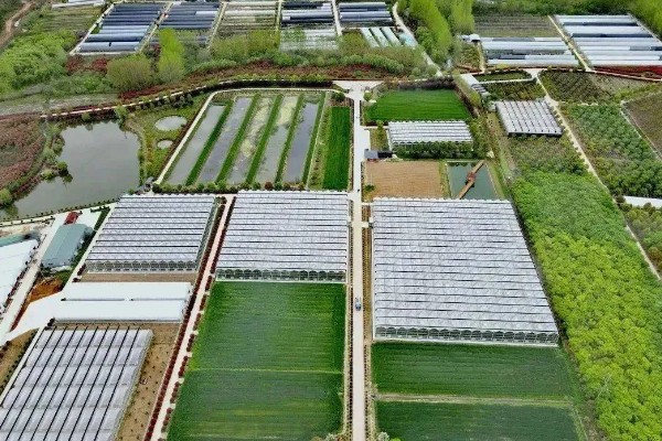 现代农业园区有什么发展类型，建设目标有开发区型、科技开发型、生产展示型