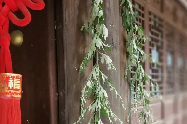 南北方端午的差异，南方吃咸粽子北方吃甜粽子