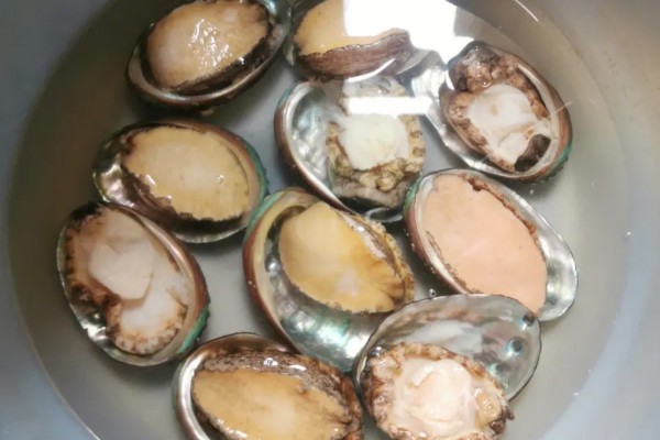 东山鲍鱼的产地在哪，是福建省东山县的特产